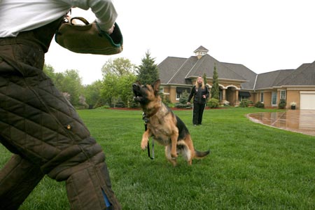 K9 Protection Training